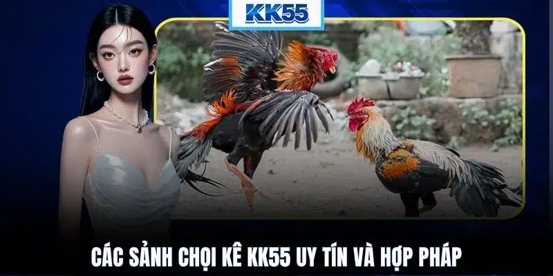 Các sảnh chọi kê KK55 uy tín và hợp pháp