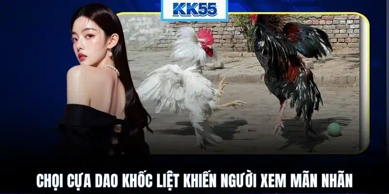Chọi cựa dao khốc liệt khiến người xem mãn nhãn